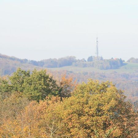Fewo Im Naturpark Spiegelberg Exterior photo